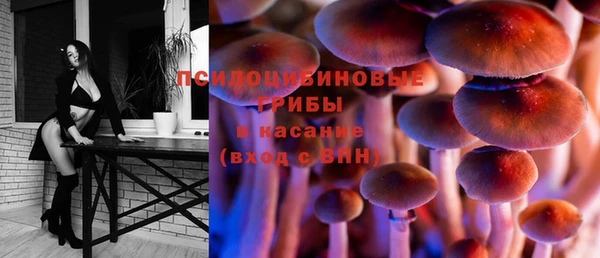 бутират Арсеньев