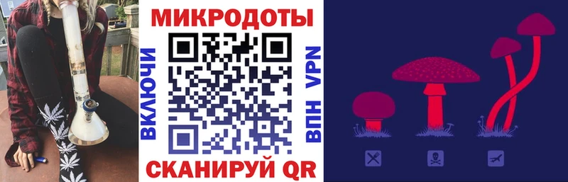 Псилоцибиновые грибы Psilocybine cubensis  Мензелинск 